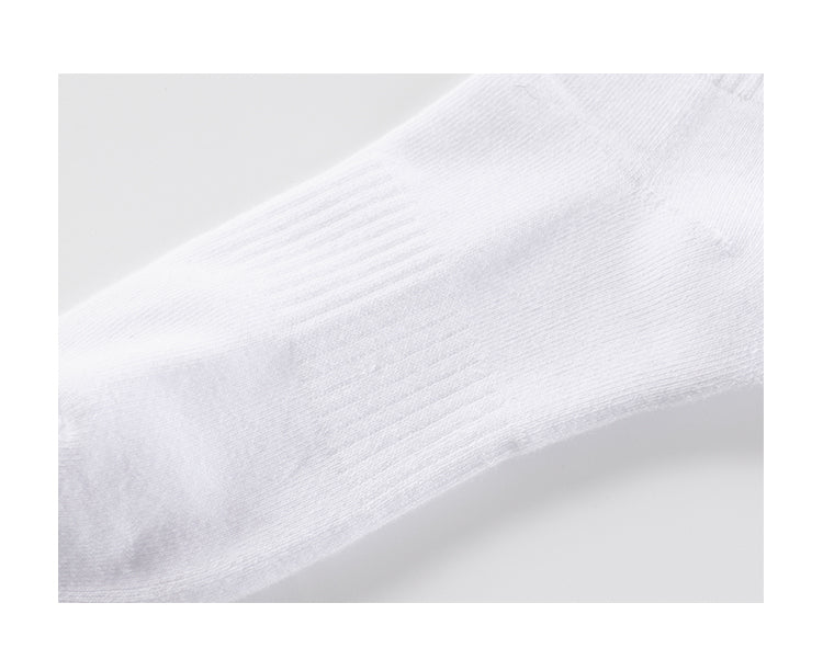 Catalog CN (Fallback)