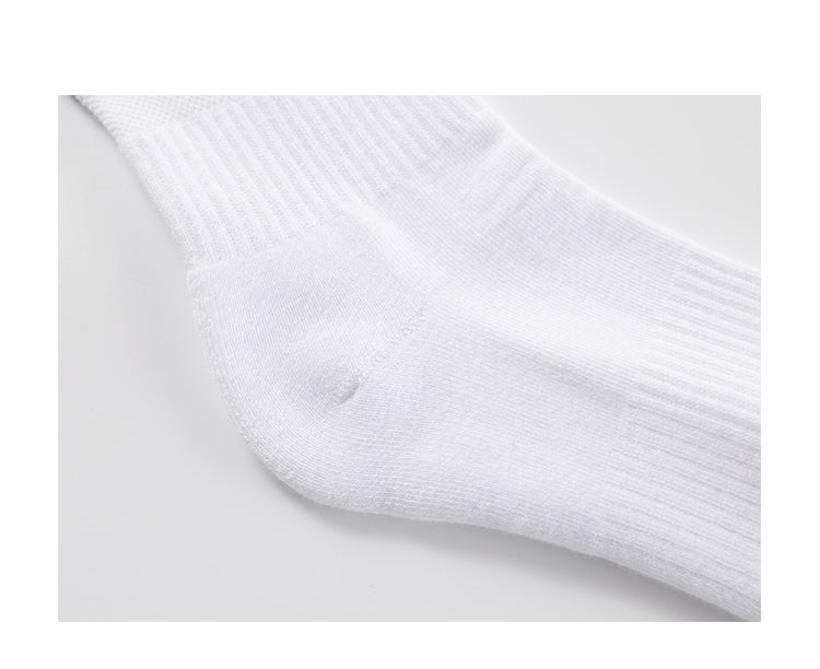 Catalog CN (Fallback)