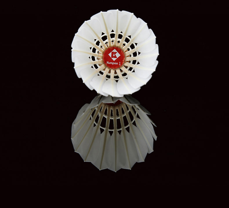 Catalog EN