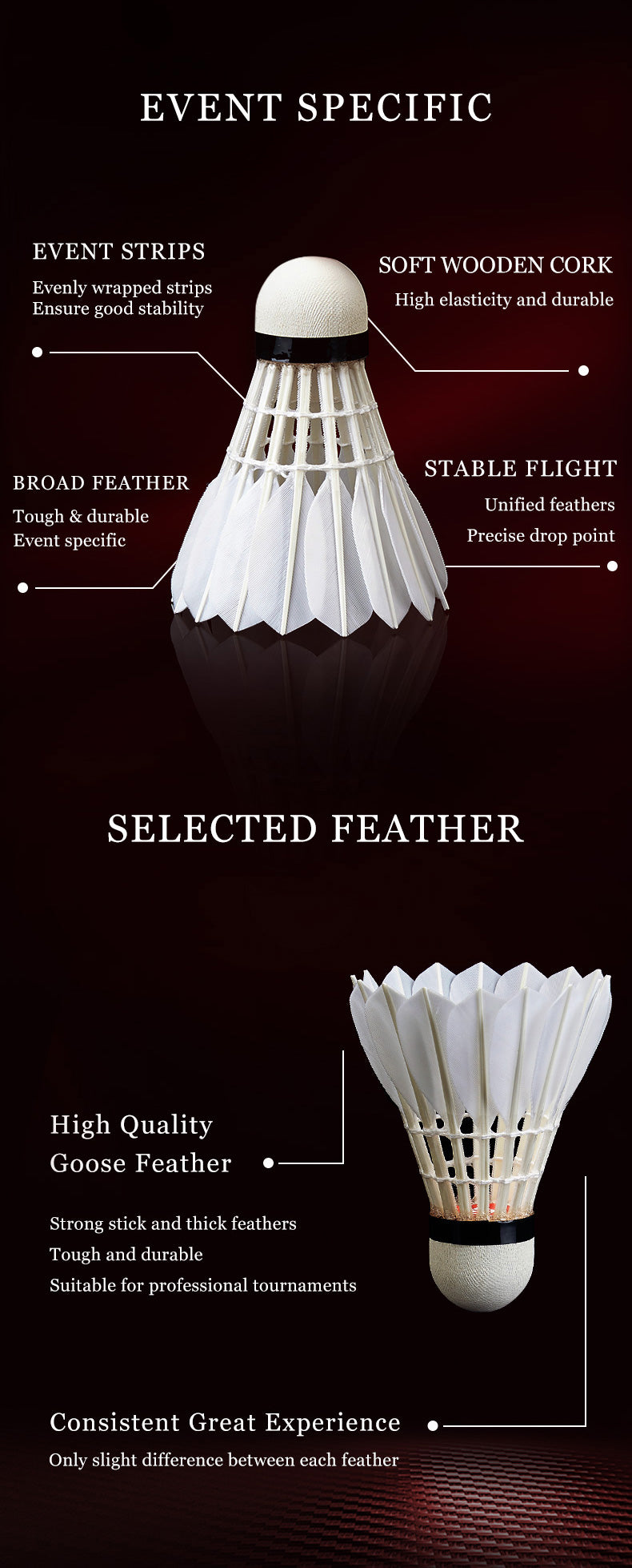 Catalog EN