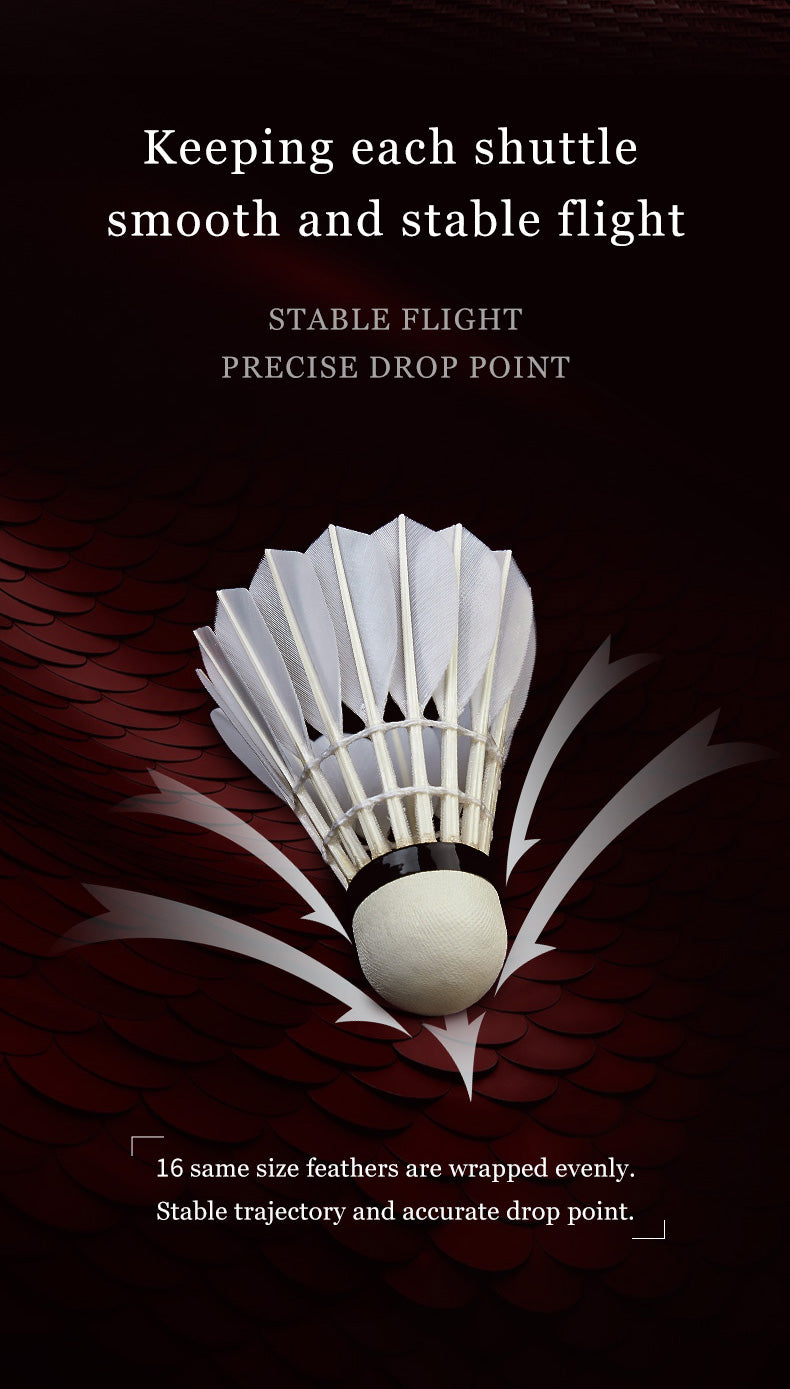 Catalog EN