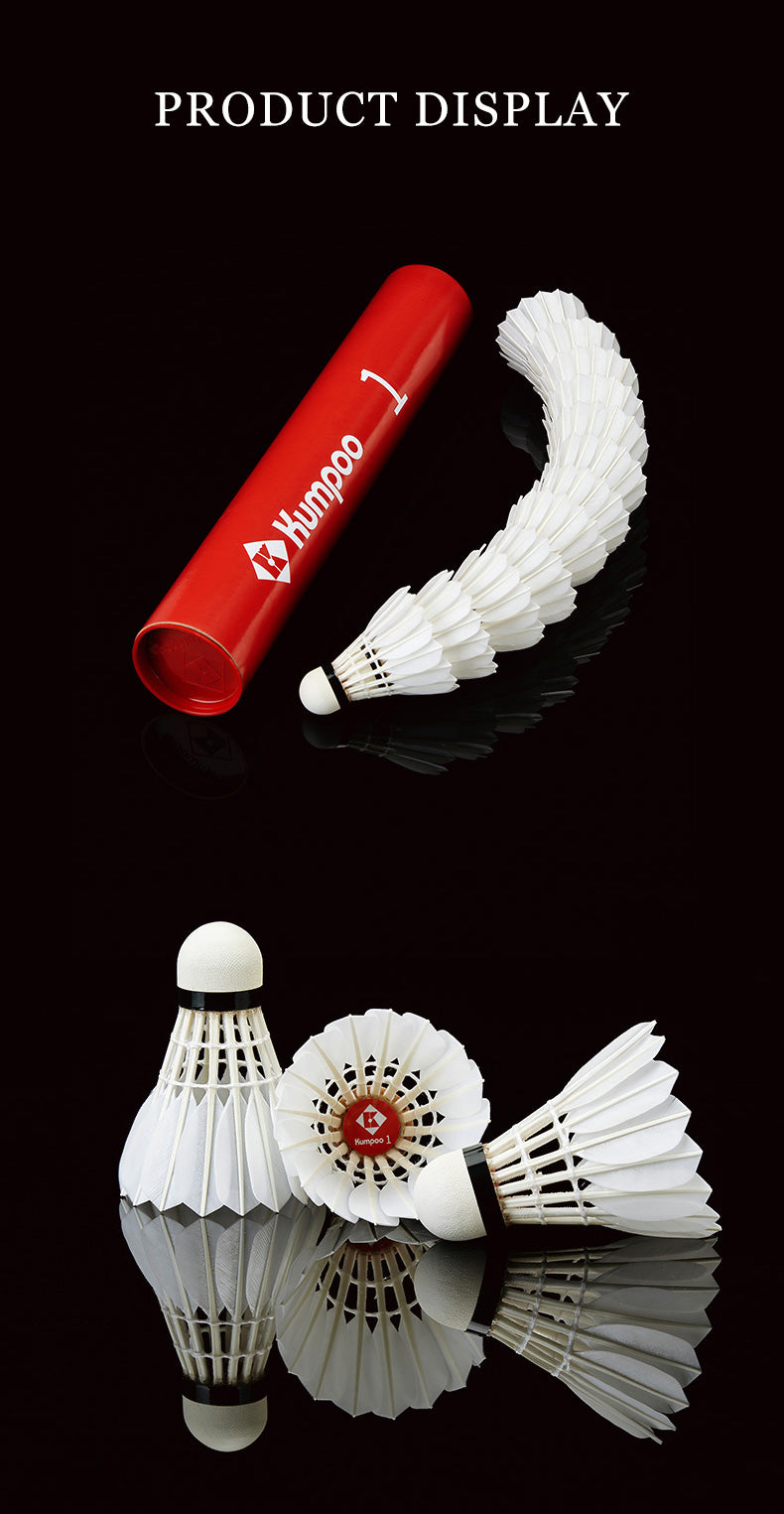 Catalog EN