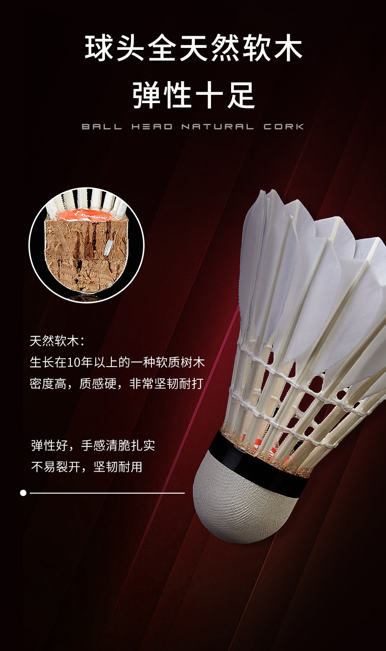 Catalog CN