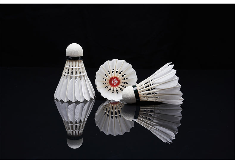 Catalog EN
