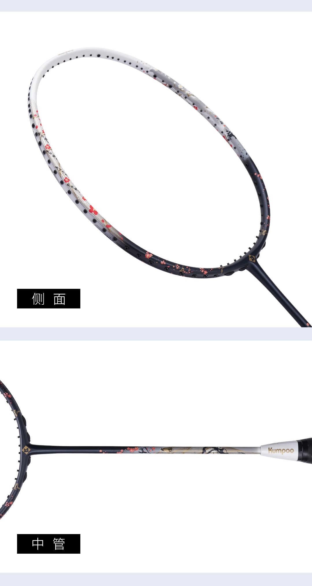 Catalog CN